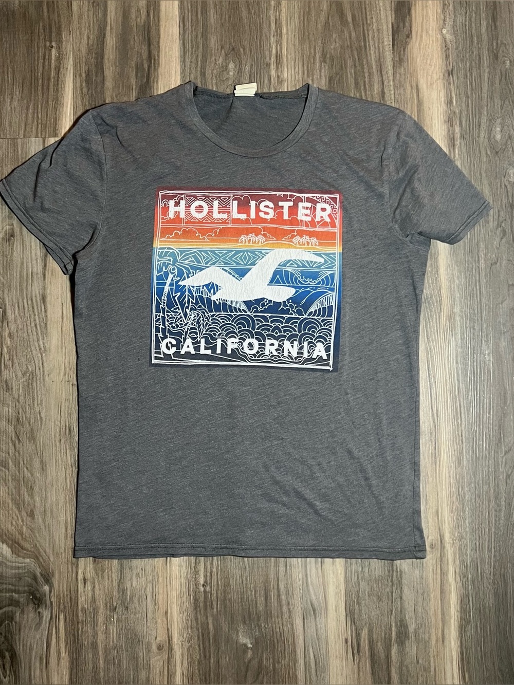 Hollister Gray Surf California Graphic Print T-Shirt Tee Size M